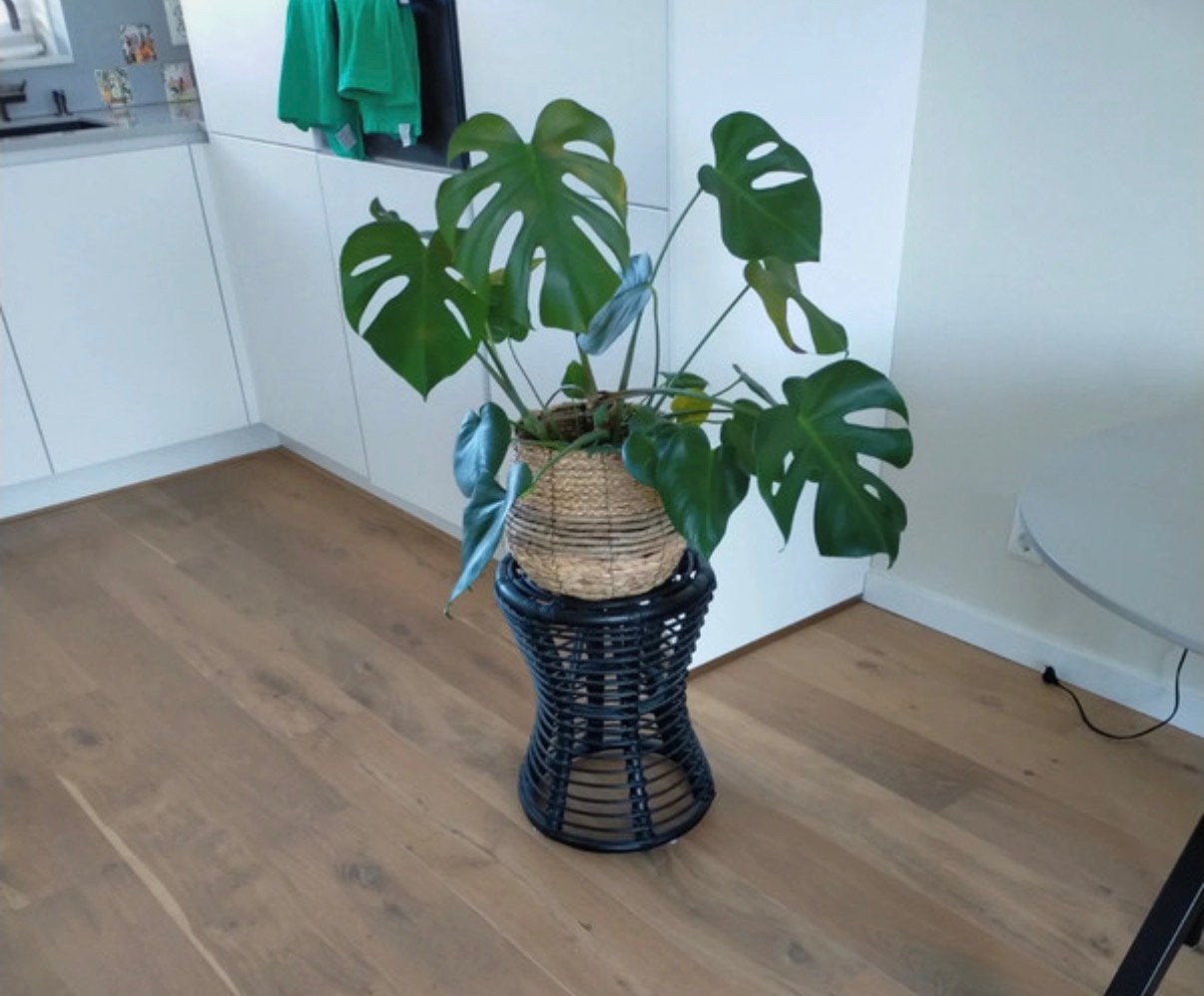 Bamboe bijzettafel of plantenzuil, 45 tot 60 cm, Overige materialen, Minder dan 55 cm, Gebruikt