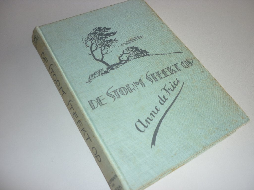 Anne de Vries: de Storm steekt op (1e druk ?), Ophalen of Verzenden, Gelezen