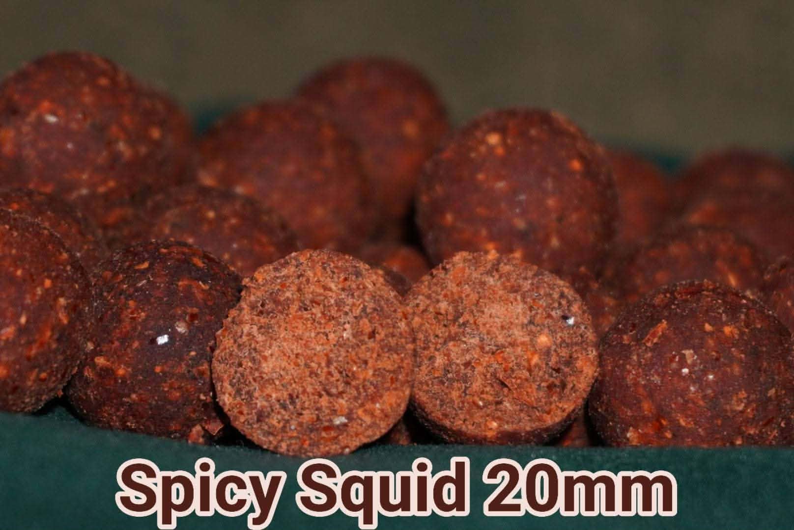 Spicy Squid boilies 20mm, Ophalen of Verzenden, Nieuw, Overige typen