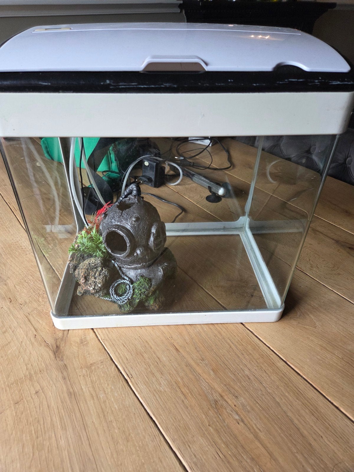 Gebruikt aquarium, Ophalen, Gebruikt, Leeg aquarium, Inclusief vissen