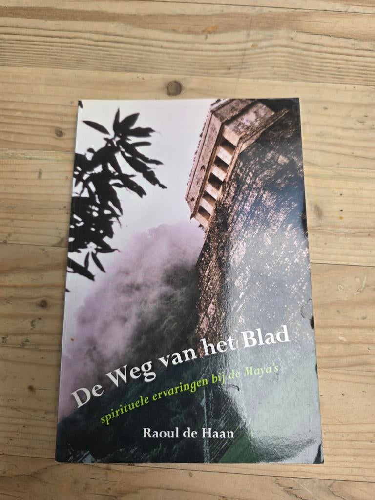 De Weg van het Blad: Spirituele Ervaringen bij de Maya's, Boeken, Gelezen, Achtergrond en Informatie, Spiritualiteit algemeen