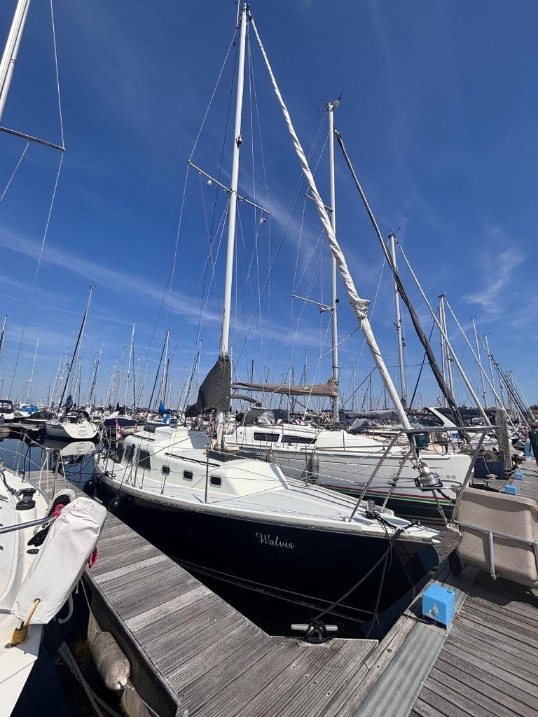 Contest 31 zeilboot – incl. ligplaats Port Zélande, Watersport en Boten, Gebruikt, Binnenboordmotor, Diesel, 135 cm
