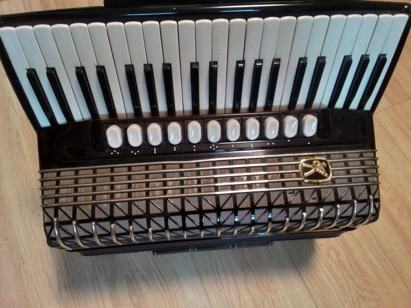 Hohner, Muziek en Instrumenten, Accordeons, Ophalen of Verzenden, Gebruikt, Overige merken, Met koffer