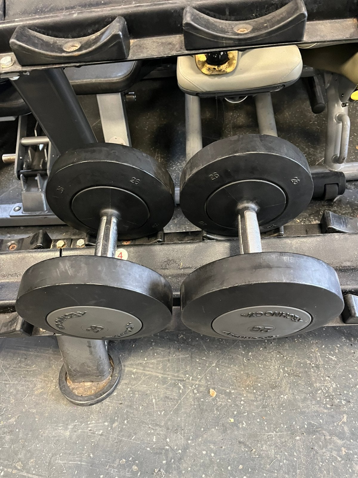 2 x 26 kg technogym dumbbells dumbbell gewichten, Ophalen, Dumbbell, Dumbbells, 2 x 26 kg