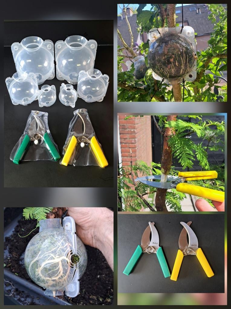 Bonsai Airlayer set marcotteer set, Ophalen of Verzenden, Nieuw, Minder dan 20 mm