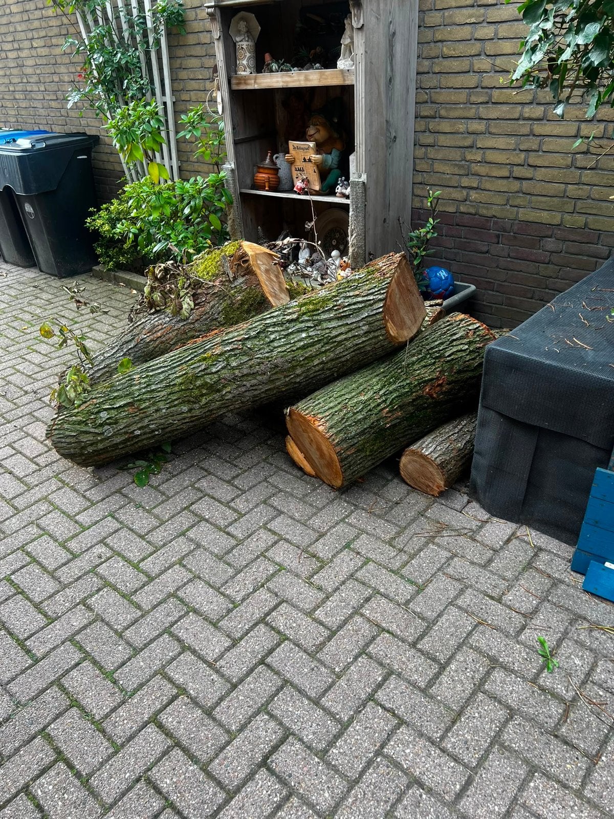 Haardhout: 1m³ hardhout, Tuin en Terras, Haardhout, Minder dan 3 m³, Ophalen, Overige houtsoorten, Stammen