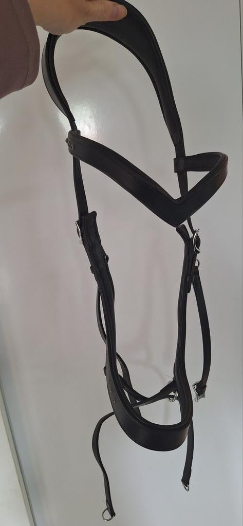 FRA Bitloos hoofstel Glory kingekruist., Ophalen, Dressuur