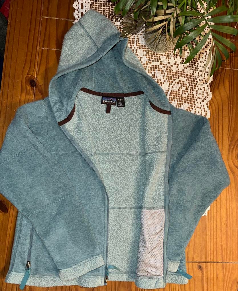 Patagonia Synchilla Fleece Hoodie, Kleding | Dames, Truien en Vesten, Ophalen of Verzenden, Zo goed als nieuw, Maat 38/40 (M)