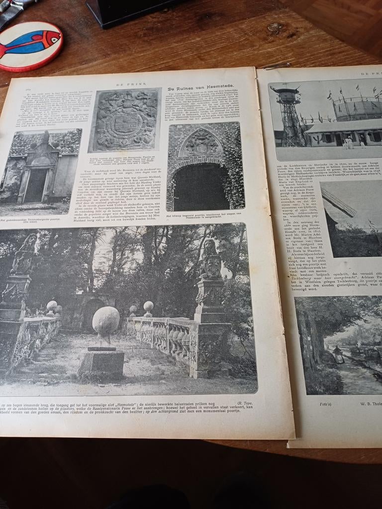 Artikel de ruïnes van Heemstede 1909, Ophalen of Verzenden, Voor 1920, Knipsel(s)