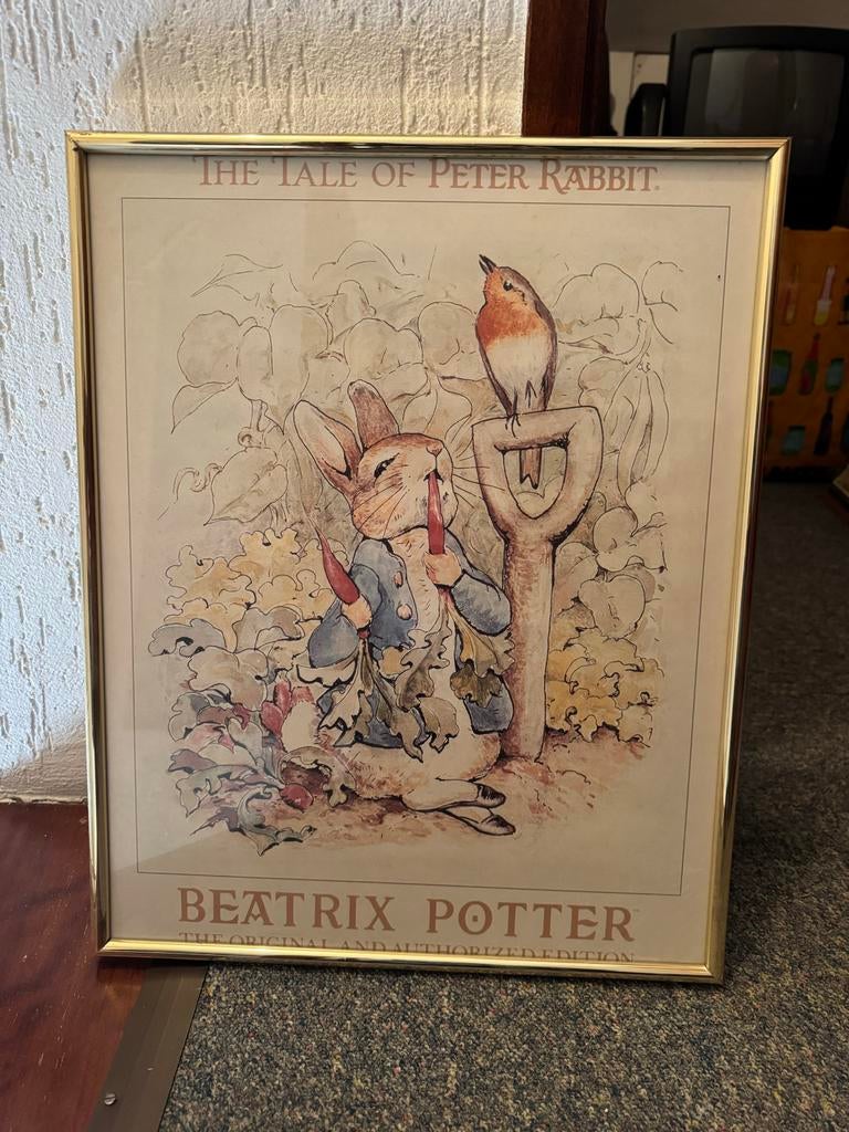 Peter Rabbit Poster - Beatrix Potter - Ingelijst, Ophalen, Rechthoekig Staand, Met lijst, Zo goed als nieuw