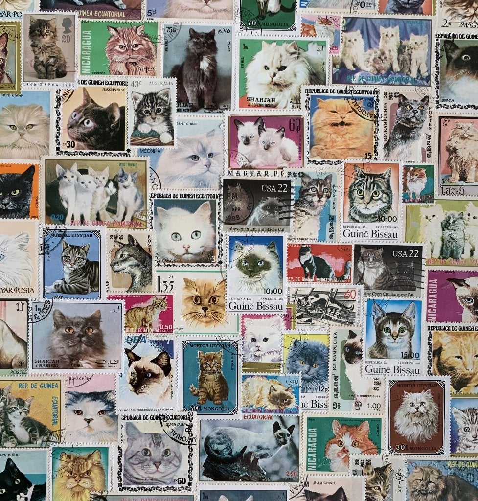 Postzegels met katten uit verschillende landen, Ophalen of Verzenden