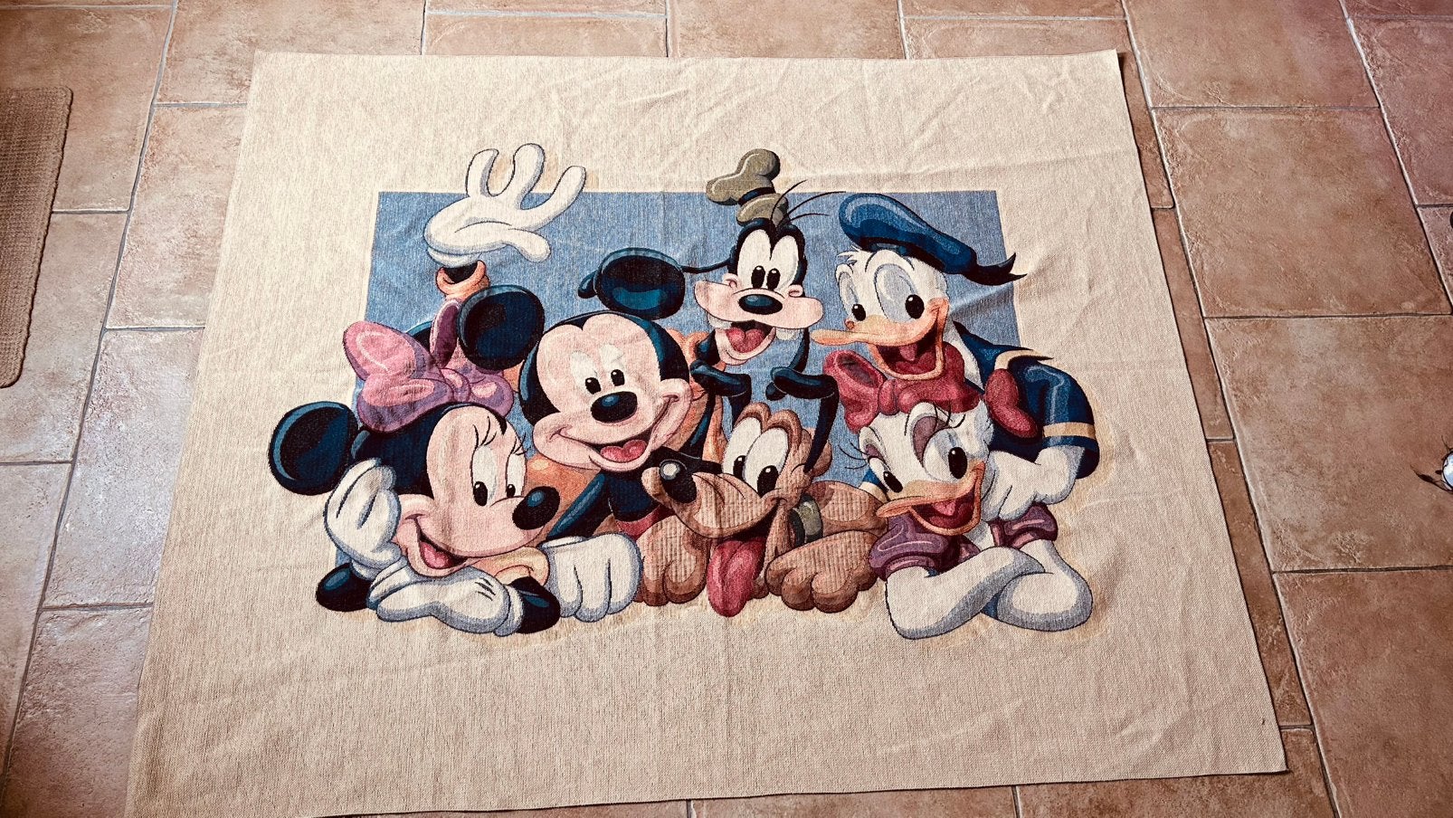 Mickey Unlimited "Gang's All Here" vloerkleed wandkleed, Ophalen of Verzenden, Zo goed als nieuw, Rechthoekig, 200 cm of meer