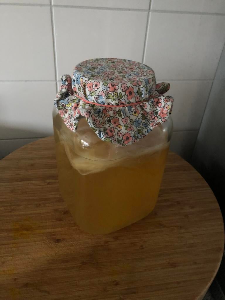 Biologische kombucha scoby - incl 200ml startvloeistof, Ophalen of Verzenden