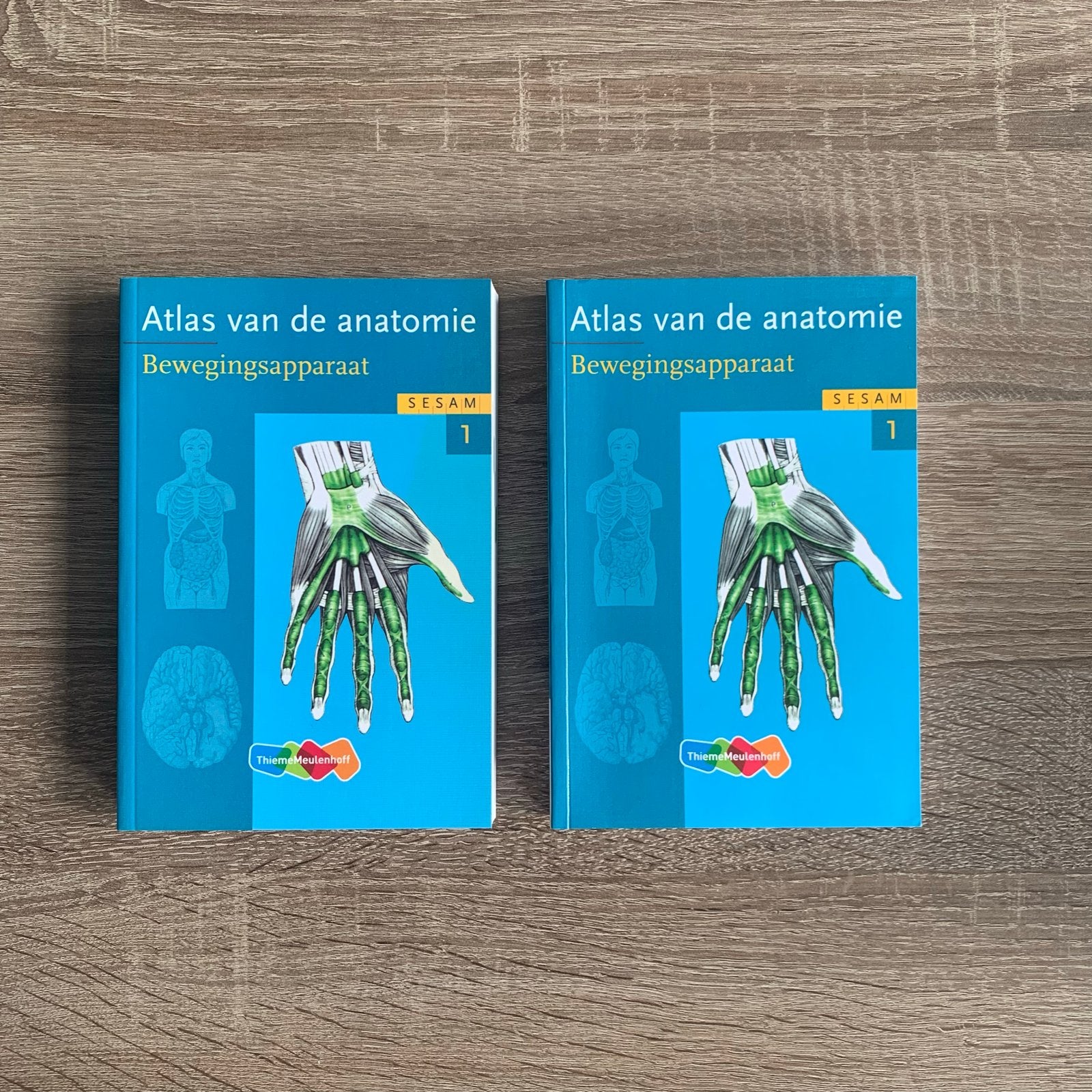 Atlas van de anatomie Bewegingsapparaat SESAM 1, Boeken, Studieboeken en Cursussen, Ophalen of Verzenden, Beta, Zo goed als nieuw