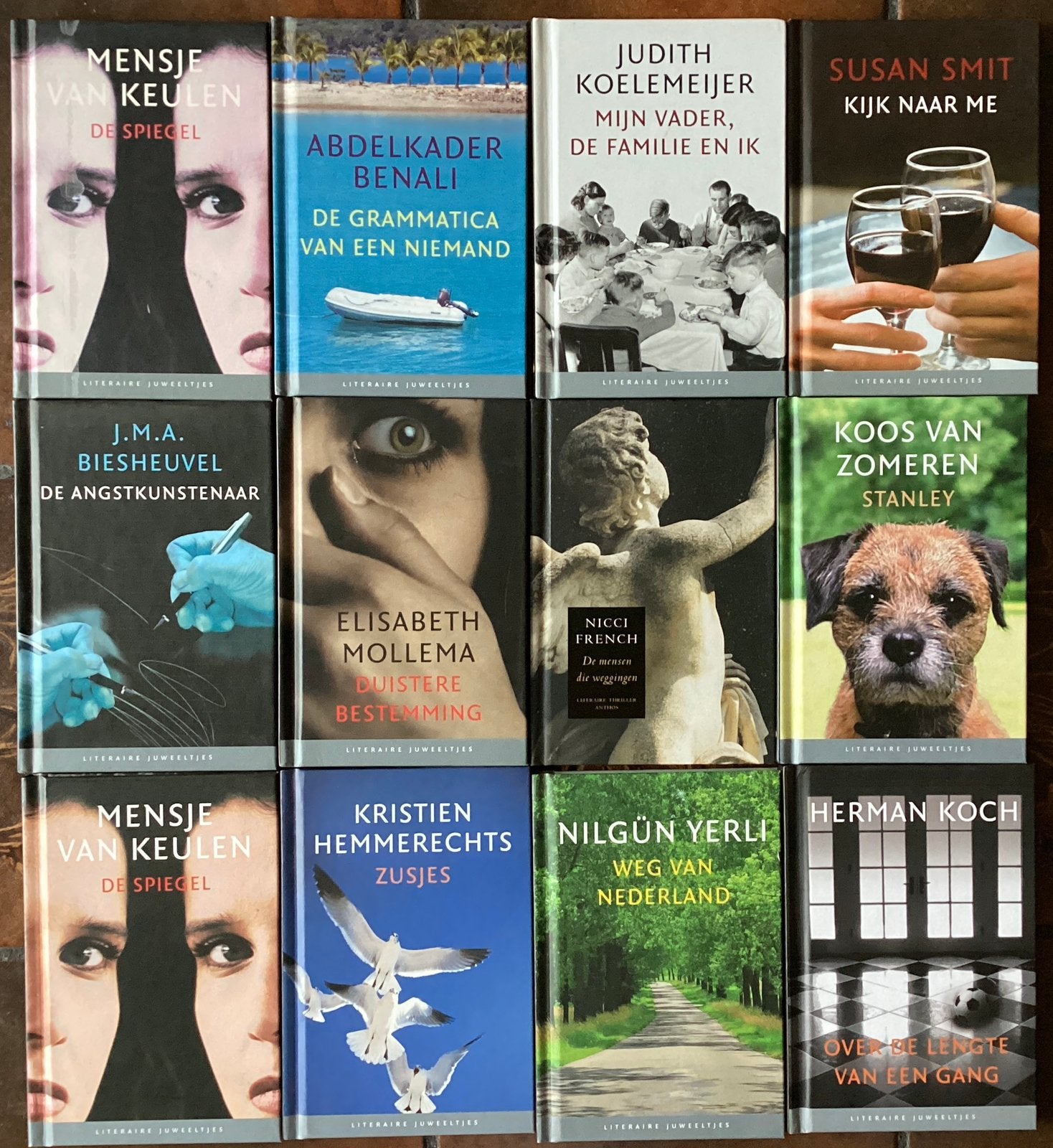 Literaire juweeltjes 1 euro per boekje, Ophalen of Verzenden, Zo goed als nieuw