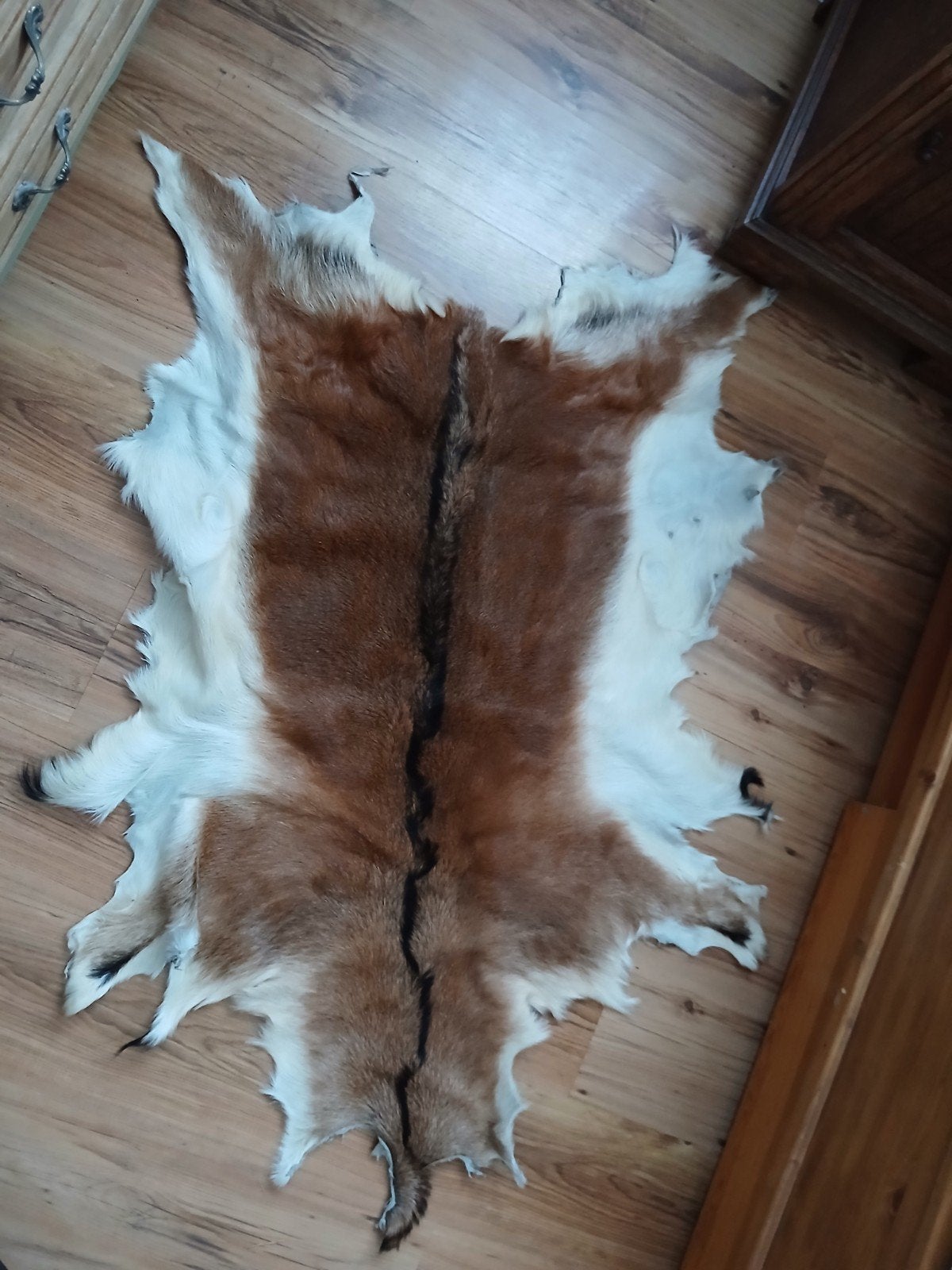 groot geitenvel, 100 tot 150 cm, Country, Zo goed als nieuw, Overige vormen