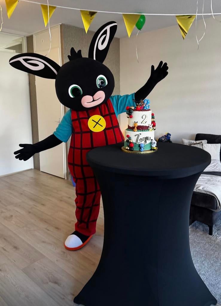 BING mascotte te boek‼️, Hobby en Vrije tijd, Feestartikelen | Verhuur, Zo goed als nieuw, Ophalen