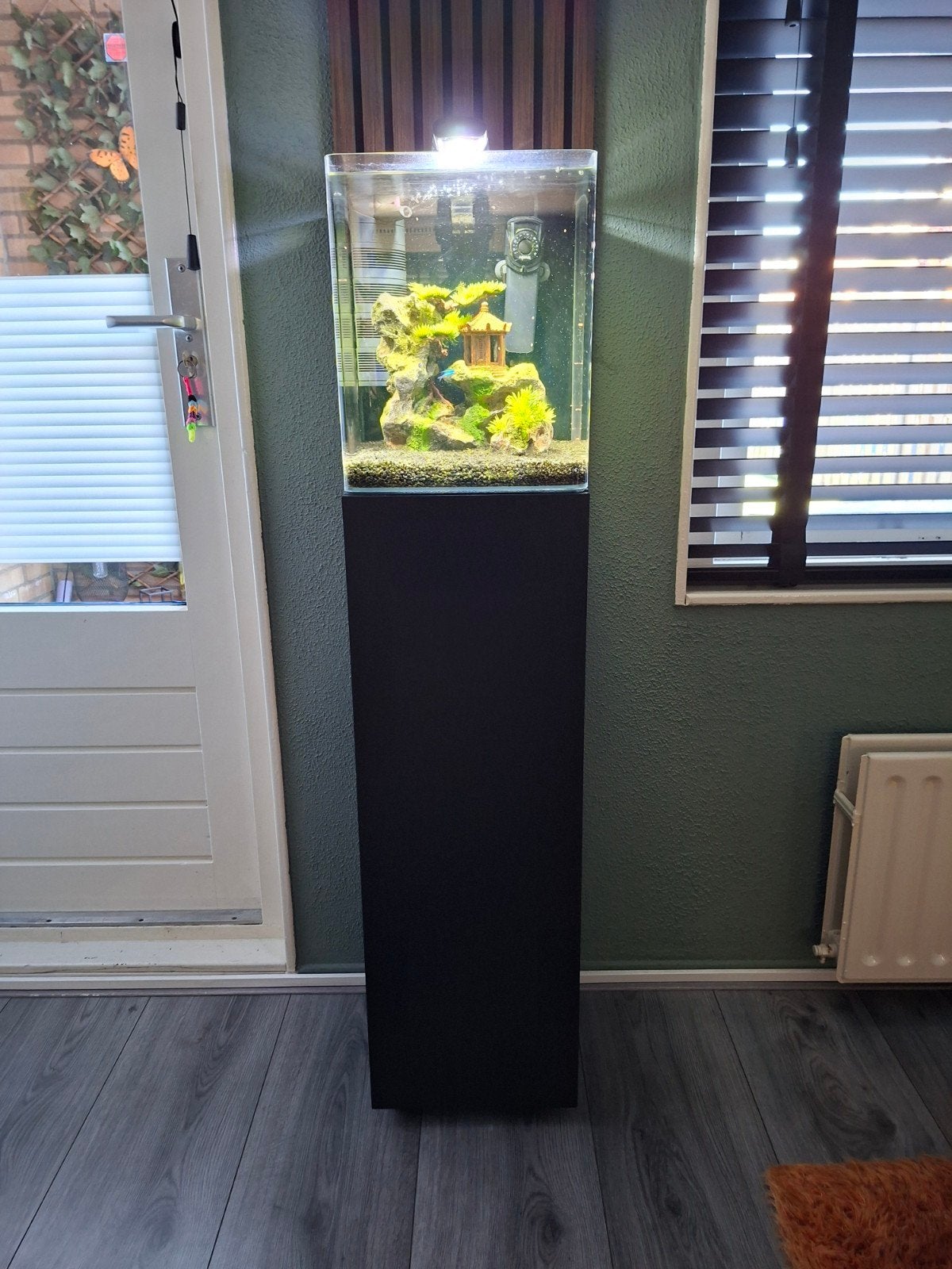 Nano aquarium 30L met mooie betta kempvis, Ophalen, Aquael, Verwarming, Gevuld zoetwateraquarium