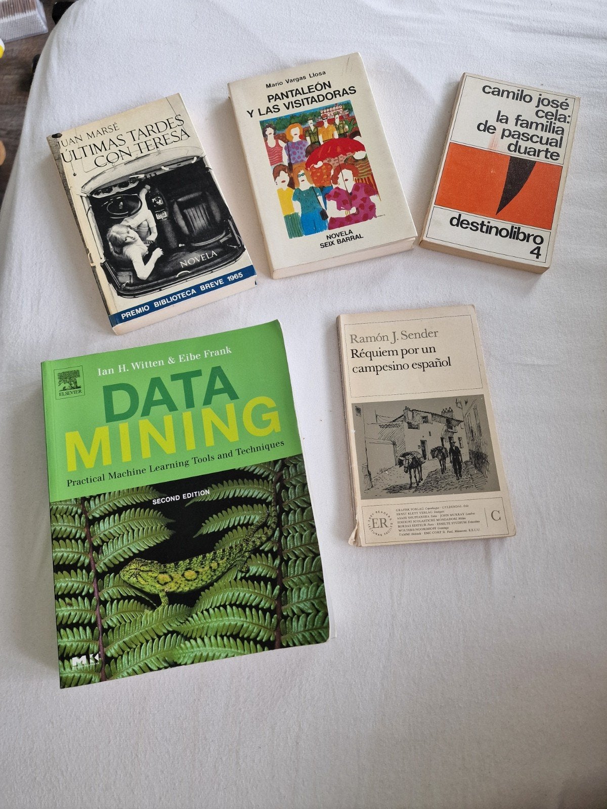 Diverse boeken: Data Mining, Spaanse literatuur, Ophalen of Verzenden