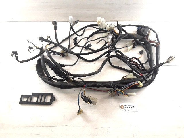 Pegaso 650 1992 - 2005 Aprilia Kabelboom D1-39245