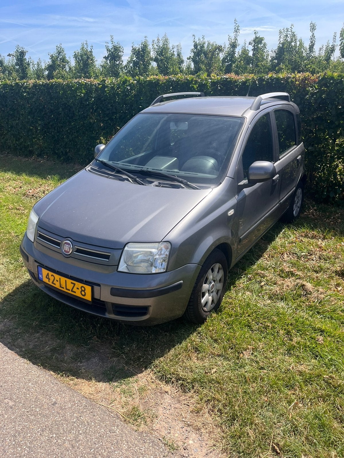 Fiat Panda 1.2 2010 Grijs, 1242 cc, Origineel Nederlands, Handgeschakeld, Particulier