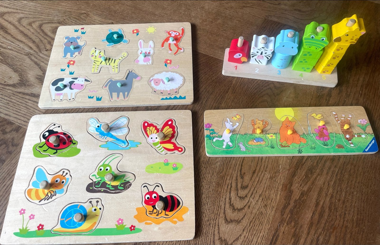 Houten puzzels en stapeltoren voor kinderen, Ophalen, 2 tot 4 jaar, Zo goed als nieuw, Van hout