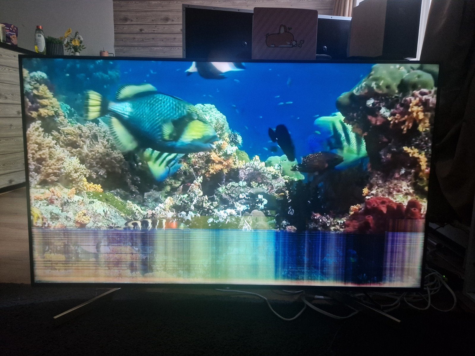 Sony KD-55XF9005 4K Smart TV - Defect, Ophalen, LED, 100 Hz, 4k (UHD)