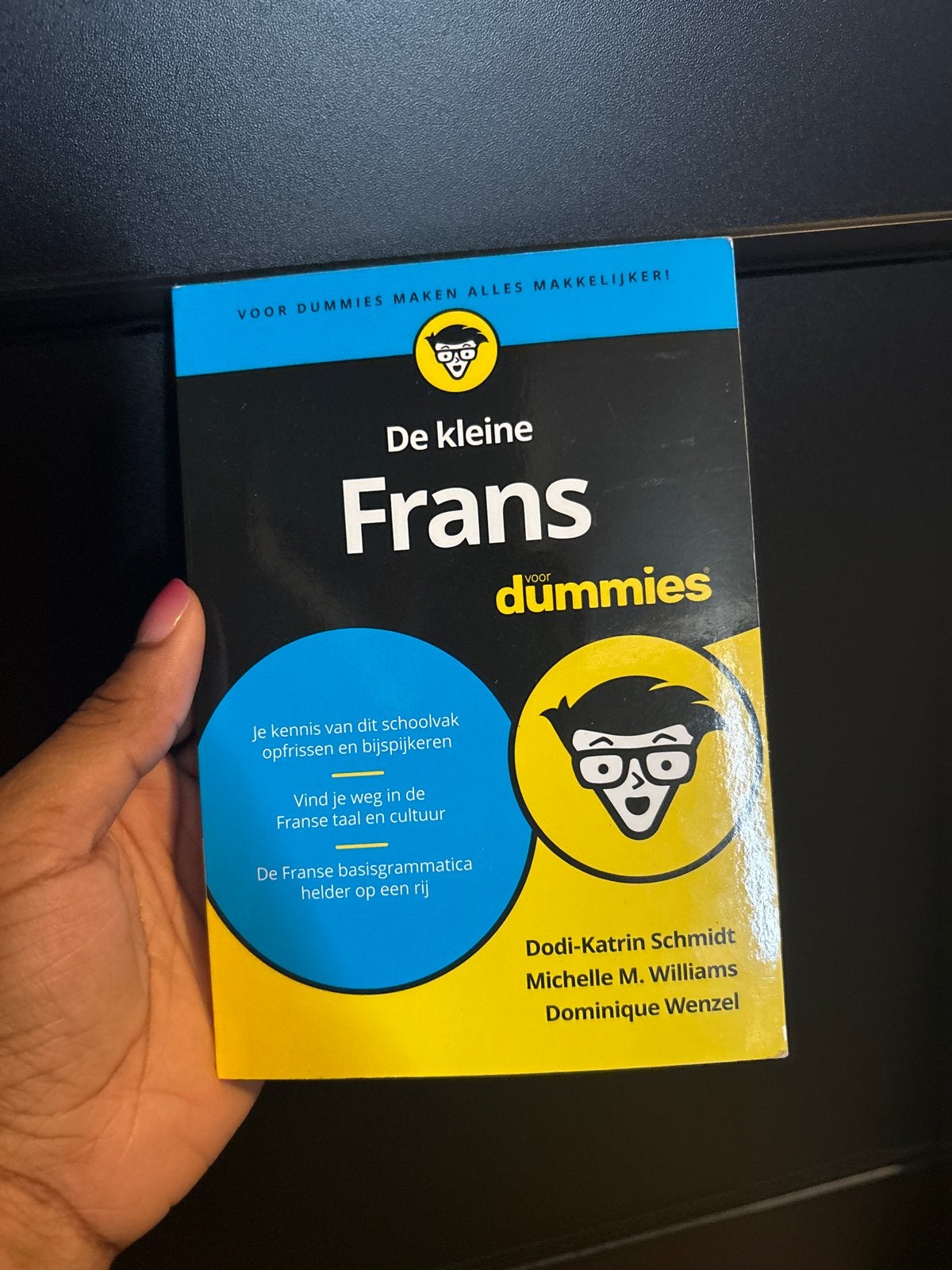 De kleine Frans voor Dummies - Leer Frans op een leuke manie, Ophalen of Verzenden, Zo goed als nieuw, Non-fictie