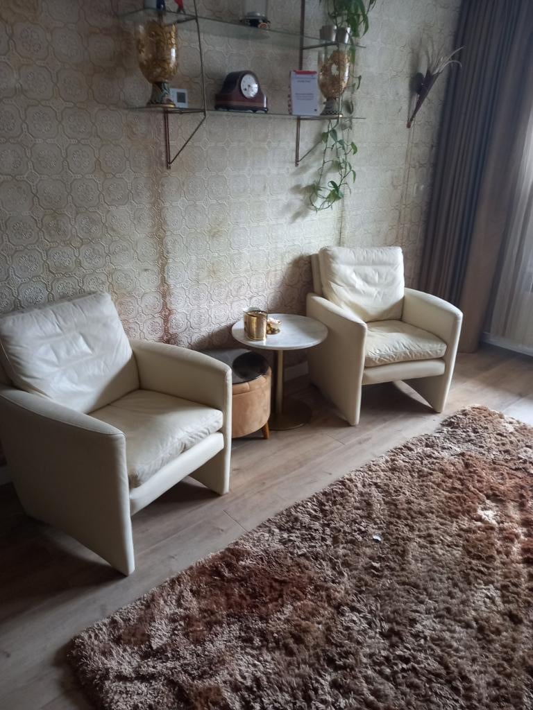 TWEE Lederen FAUTEUILS van - Touche ZGAN, Ophalen, Zo goed als nieuw, 50 tot 75 cm, Leer