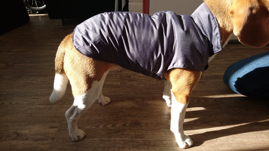 Hondenjas Blauw mt 36 Bobby Fr, Ophalen, Gebruikt, Overige merken, Hondenjas