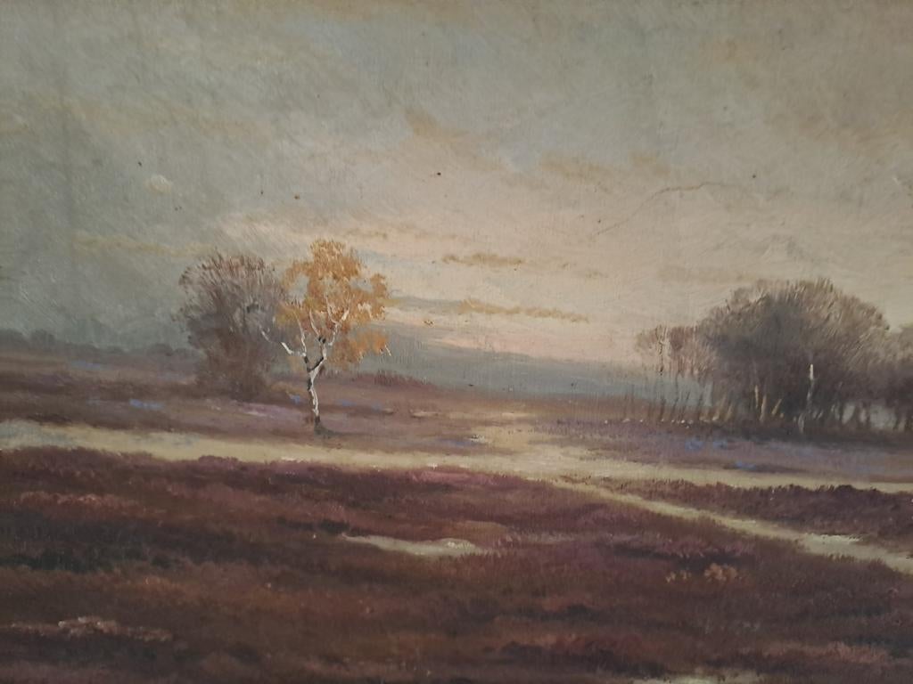 Olieverf Schilderij op Doek - Heide Landschap, Antiek en Kunst, Kunst | Schilderijen | Klassiek, Ophalen