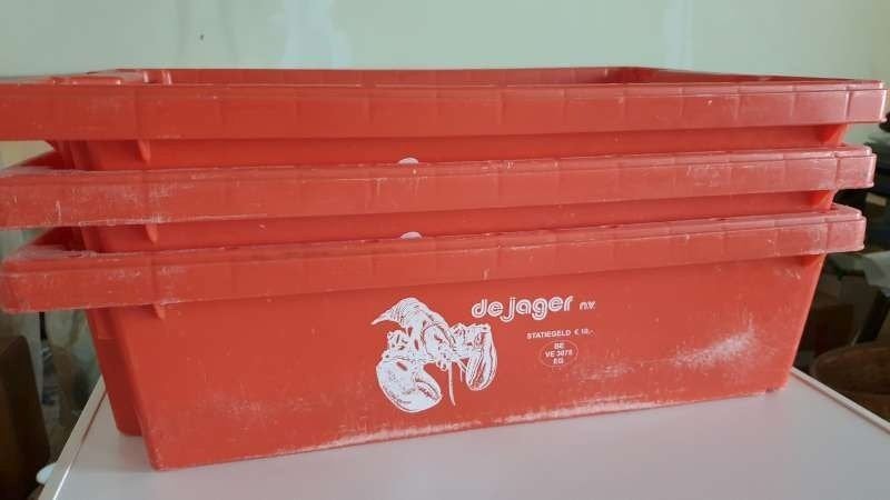 3x bak, 10€ statiegeld bij DeJager, Kielsbroek 21, ntwerpen, Ophalen, Doos, 100 cm of meer, Minder dan 40 cm