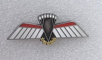 Miniatuur metalen parawing D HALO/HALO (KCT/MARSOF) gala, Ophalen of Verzenden, Landmacht, Nederland, Embleem of Badge
