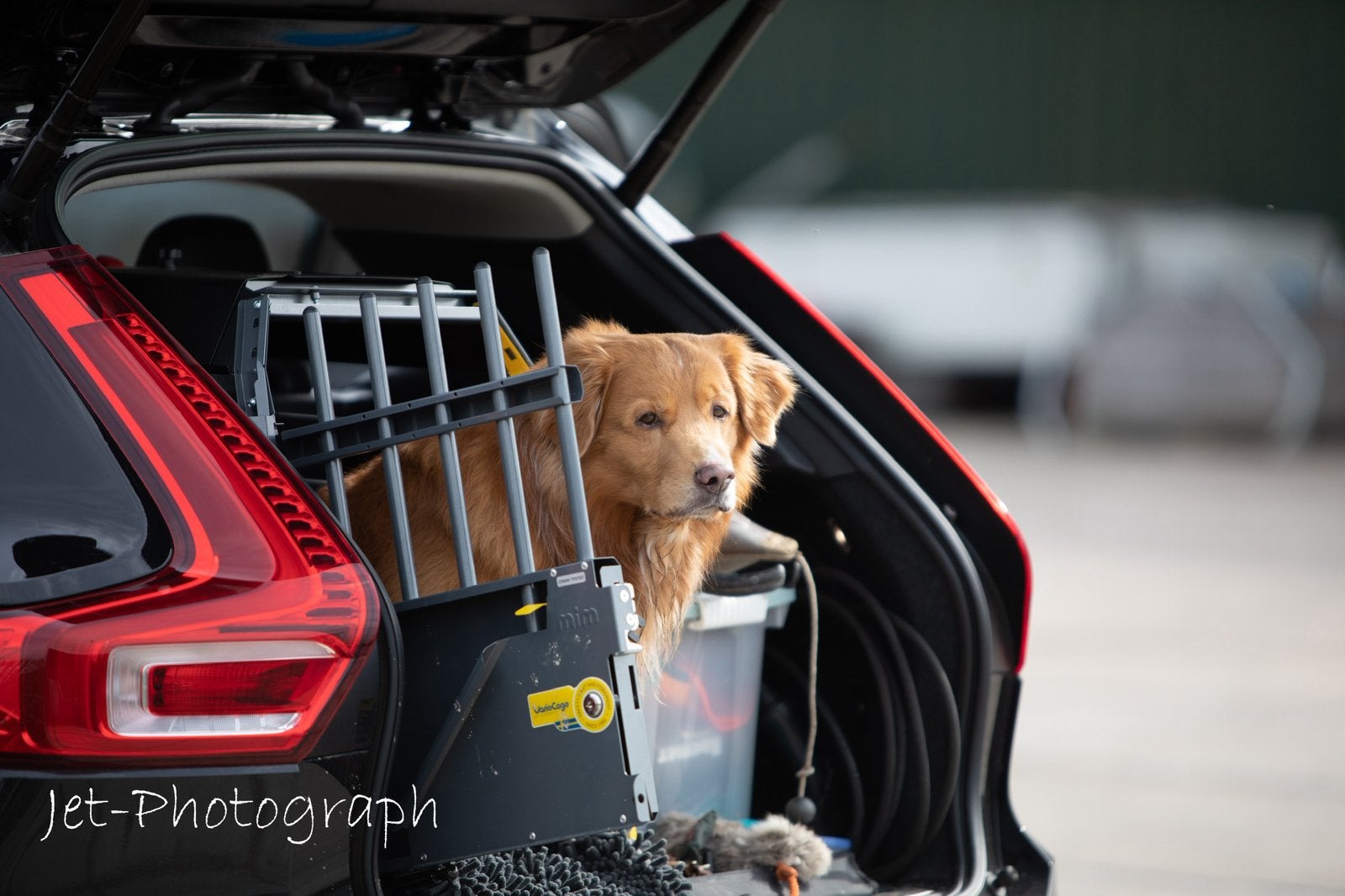 Vario Cage voor hond tot 25 kg ( 53 cm schofthoogte), Ophalen of Verzenden, Zo goed als nieuw, 75 tot 110 cm, Minder dan 65 cm