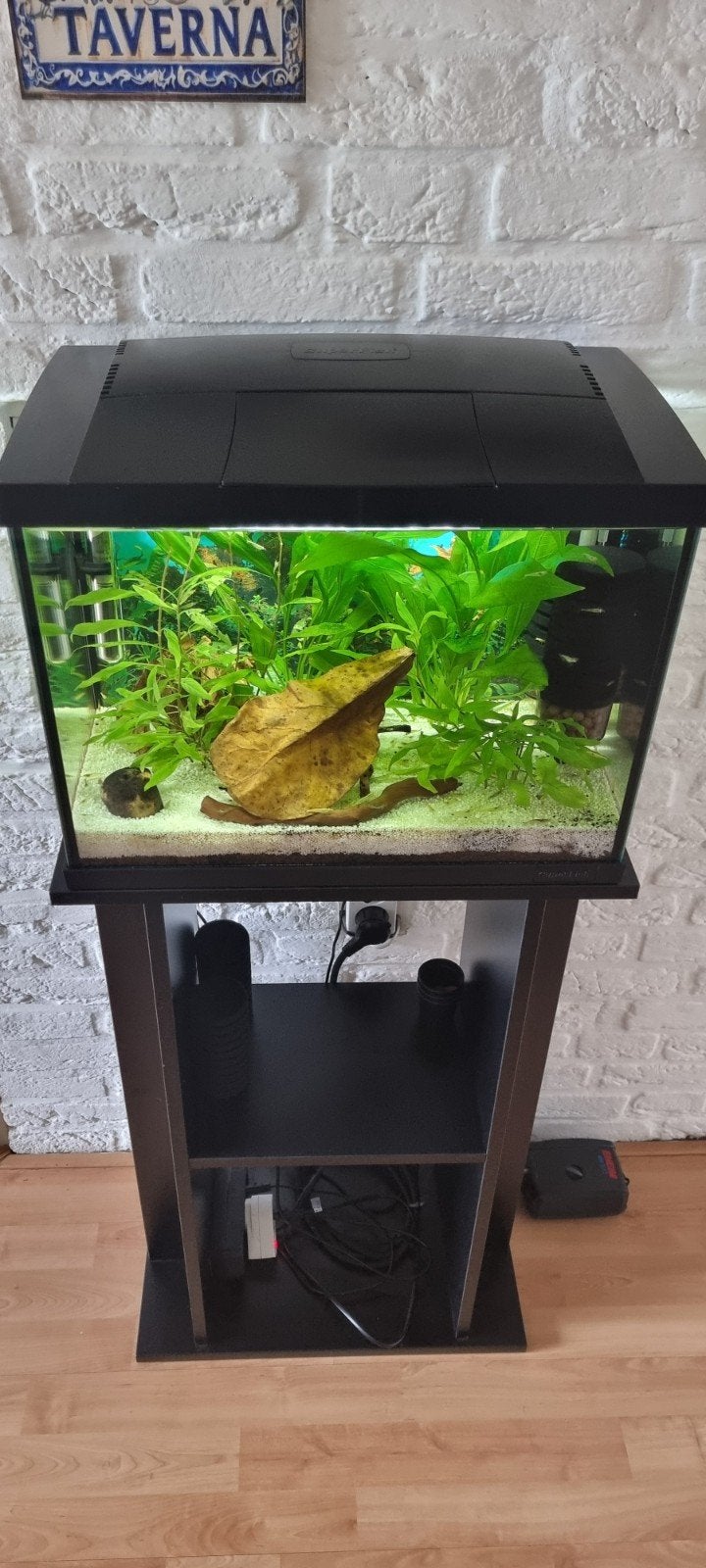Aquarium, Dieren en Toebehoren, Ophalen of Verzenden, Zo goed als nieuw, Gevuld zoetwateraquarium