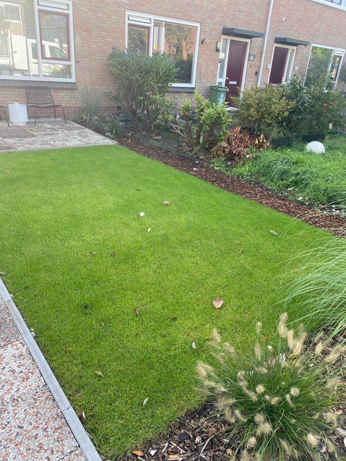 Moet weg - Ca. 15m2 gras - 4 maanden oud - goed geworteld, Ophalen, Zo goed als nieuw, 20 m² of meer