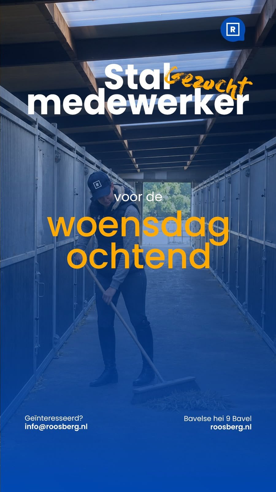 Hulp gevraagd woensdag ochtend, Overige niveaus, Overige vormen
