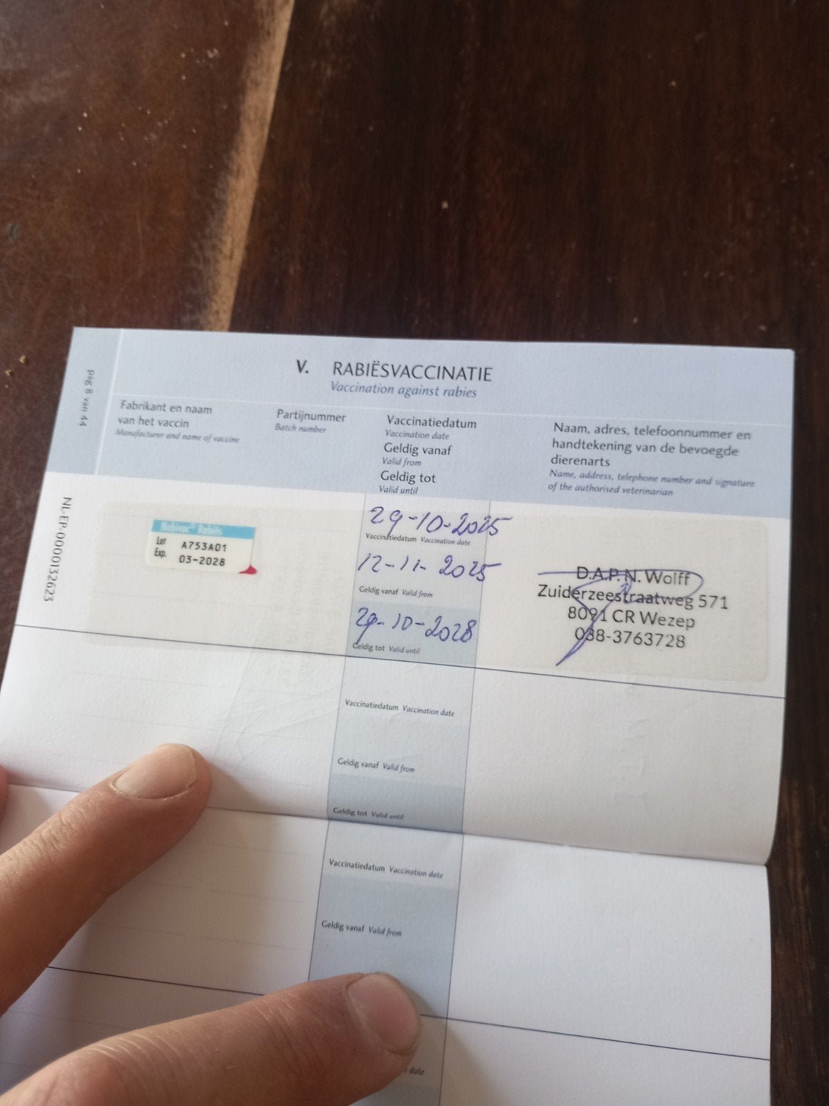 MECHELSE HERDER ZWART KNPV REU, 15 weken tot 1 jaar, Reu, Parvo, Eén hond