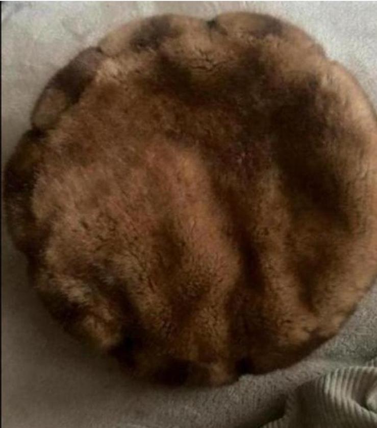 Hoed mits teddy one size bont nieuwstaat, Kleding | Dames, Hoeden en Petten, Ophalen of Verzenden, Zo goed als nieuw, One size fits all