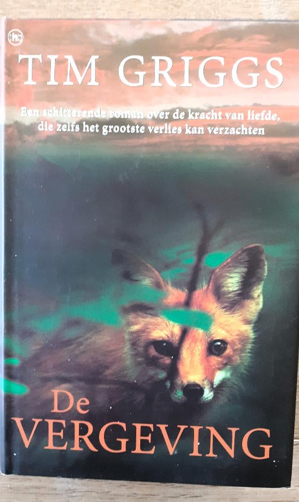 Boek de Vergeving, Boeken, Ophalen of Verzenden, Zo goed als nieuw