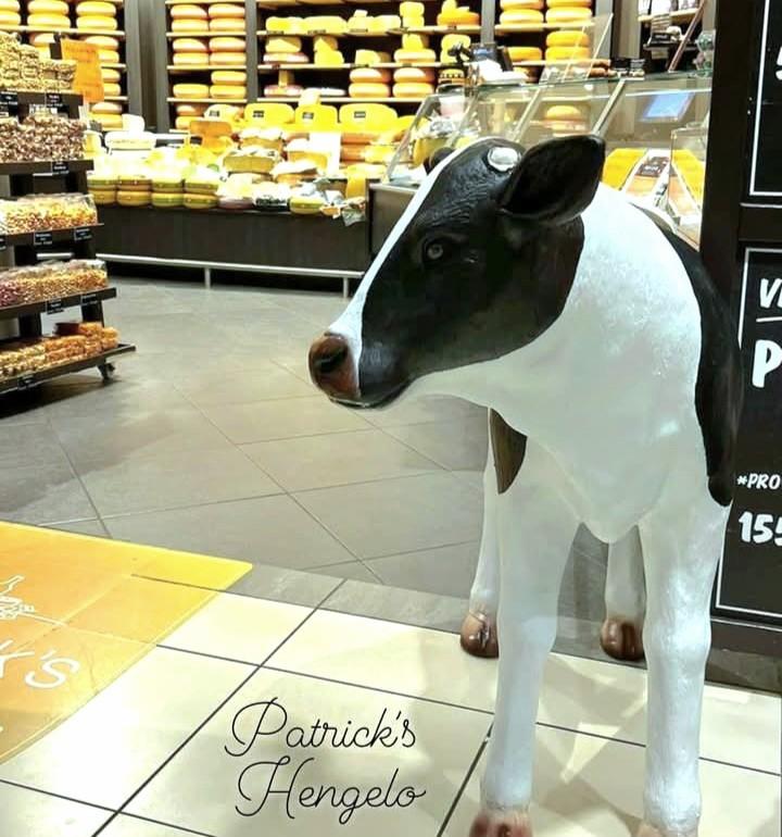 Beeld kalf, kunststof koe, kunst koe, kalfjes, koe beeld, Ophalen, Nieuw, Kunststof, Dierenbeeld