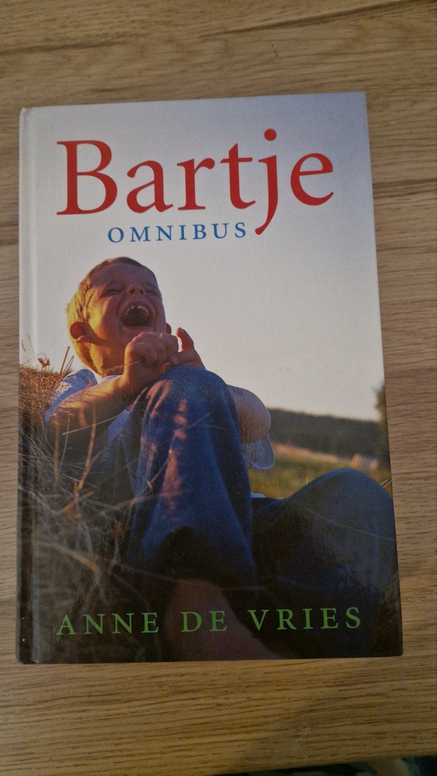 Bartje Omnibus - Anne de Vries, Ophalen of Verzenden, Zo goed als nieuw, Anne de Vries