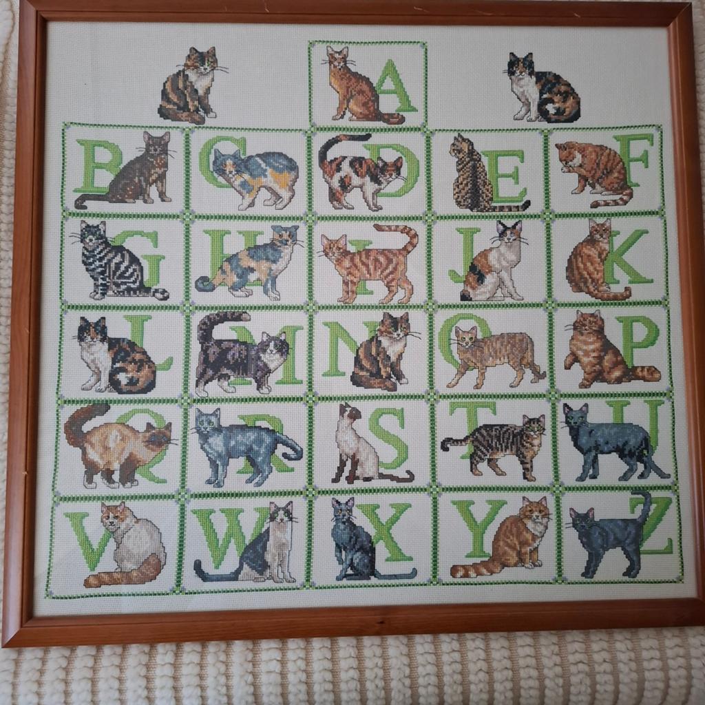 Geborduurd katten alfabet schilderij in houten lijst, Ophalen, Gebruikt, 50 tot 75 cm, Schilderij