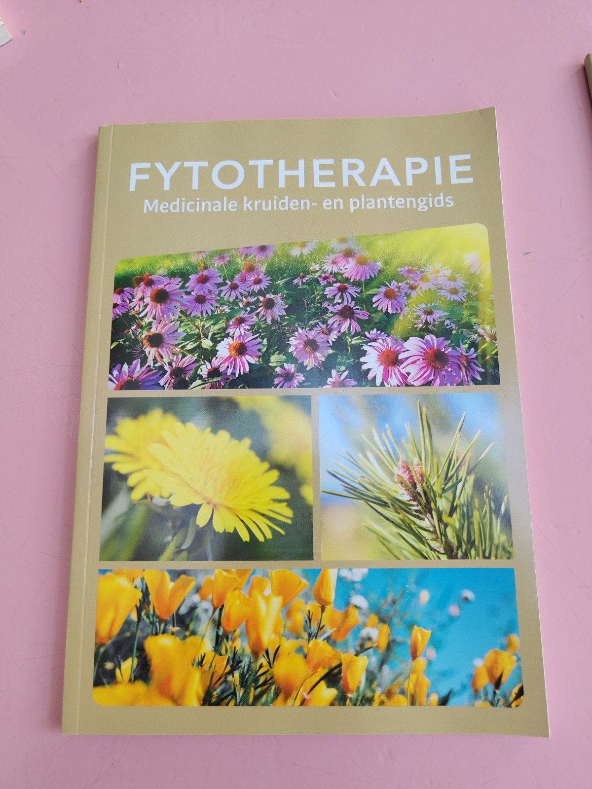 fytotherapie, Boeken, Kruiden en Alternatief, Ophalen of Verzenden, Zo goed als nieuw, Alpen editions