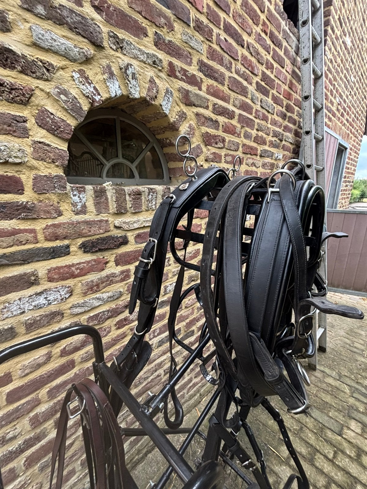 Van der Wiel Enkelspan tuig, Dieren en Toebehoren, Gebruikt, Mentuig, Ophalen of Verzenden, Zwart
