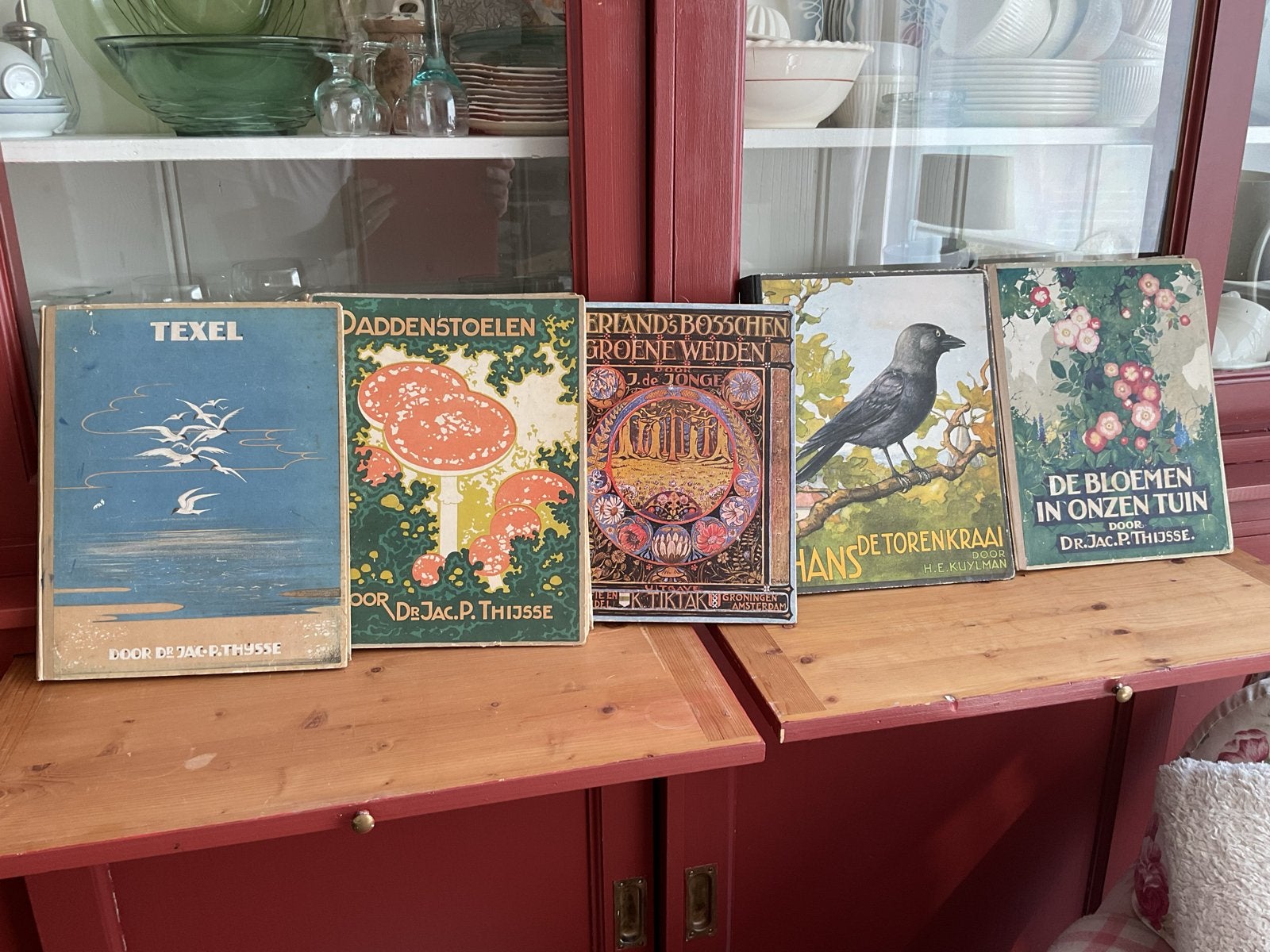 5 antieke natuurboeken Dr. Jac. P. Thijsse en anderen, Boeken, Ophalen of Verzenden, Gelezen, Natuur algemeen