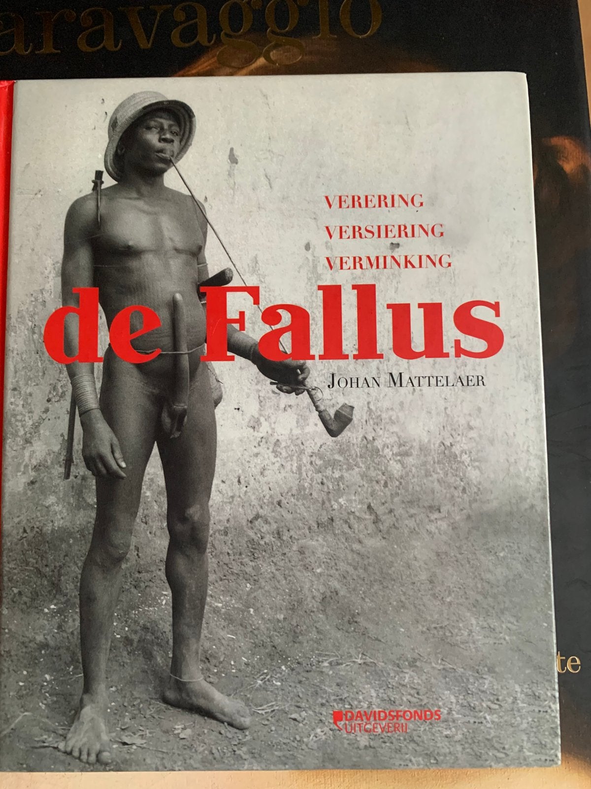 De Fallus boek, Ophalen of Verzenden, Zo goed als nieuw, Overige onderwerpen