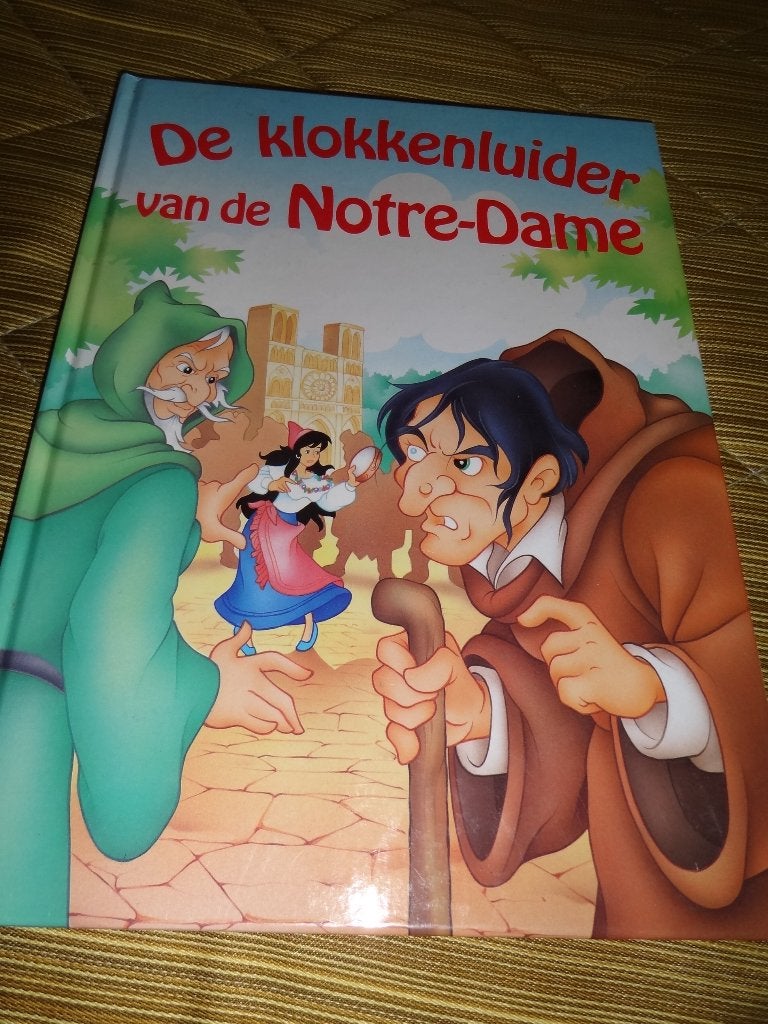 boek de klokkenluider van de Notre Dame, Boeken, Ophalen of Verzenden, Gelezen, Fictie algemeen