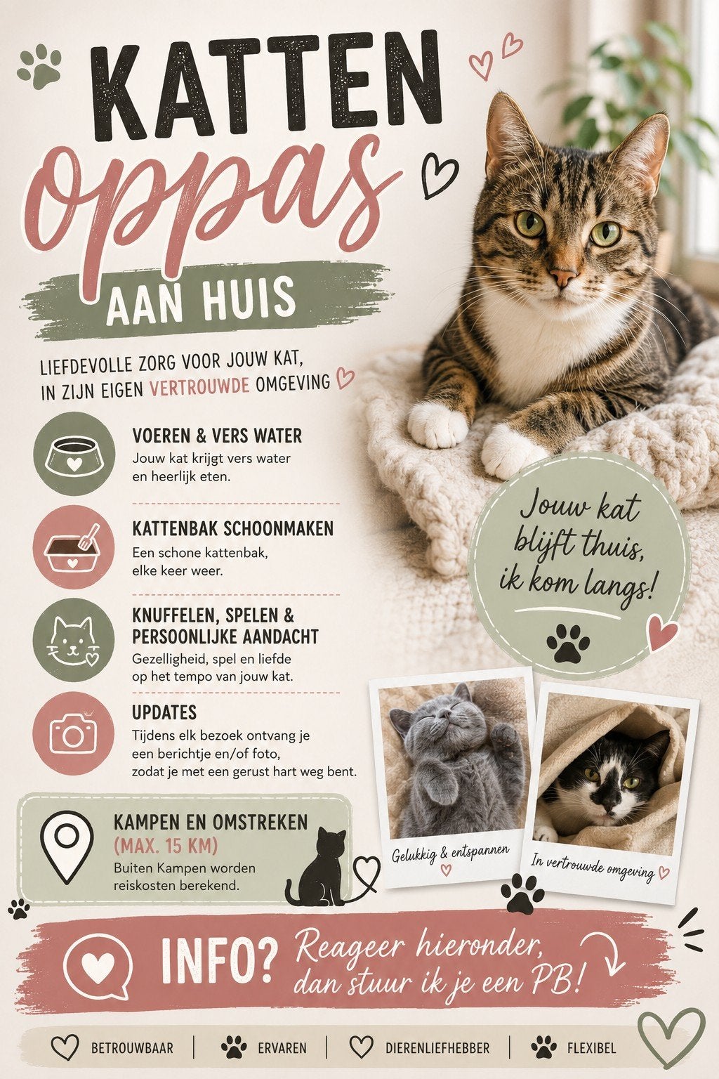 Een betrouwbare kattenoppas aan huis. omgeving Kampen, Ophalen, Kat