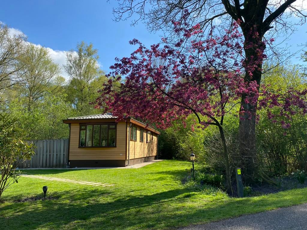 Luxe Chalet te Huur op 5 Vakantiepark Witterzomer Toplocatie, Tv, In bos, Dorp